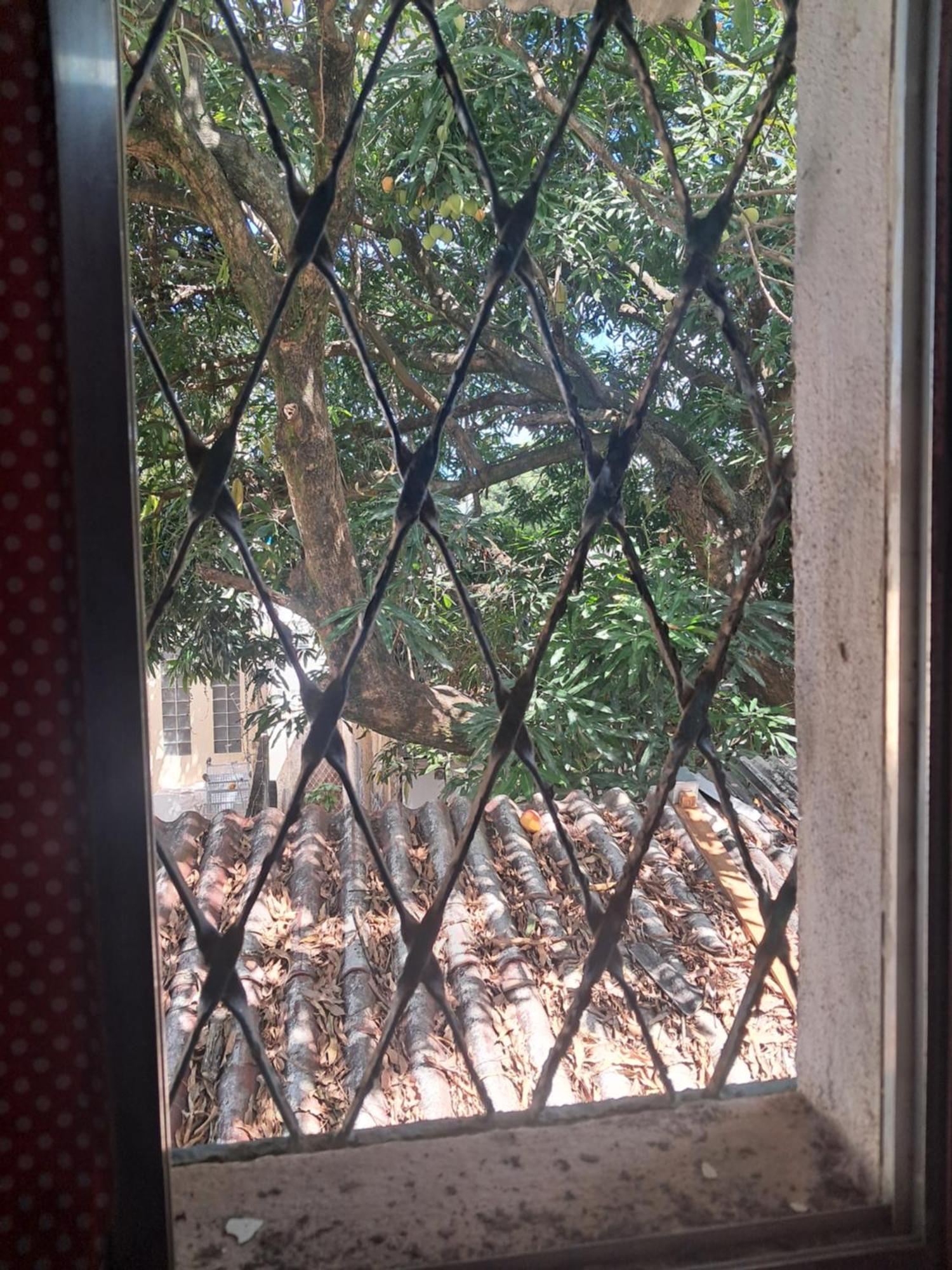 Hostel & Pousada Ufpe Inn Ρεσίφε Δωμάτιο φωτογραφία